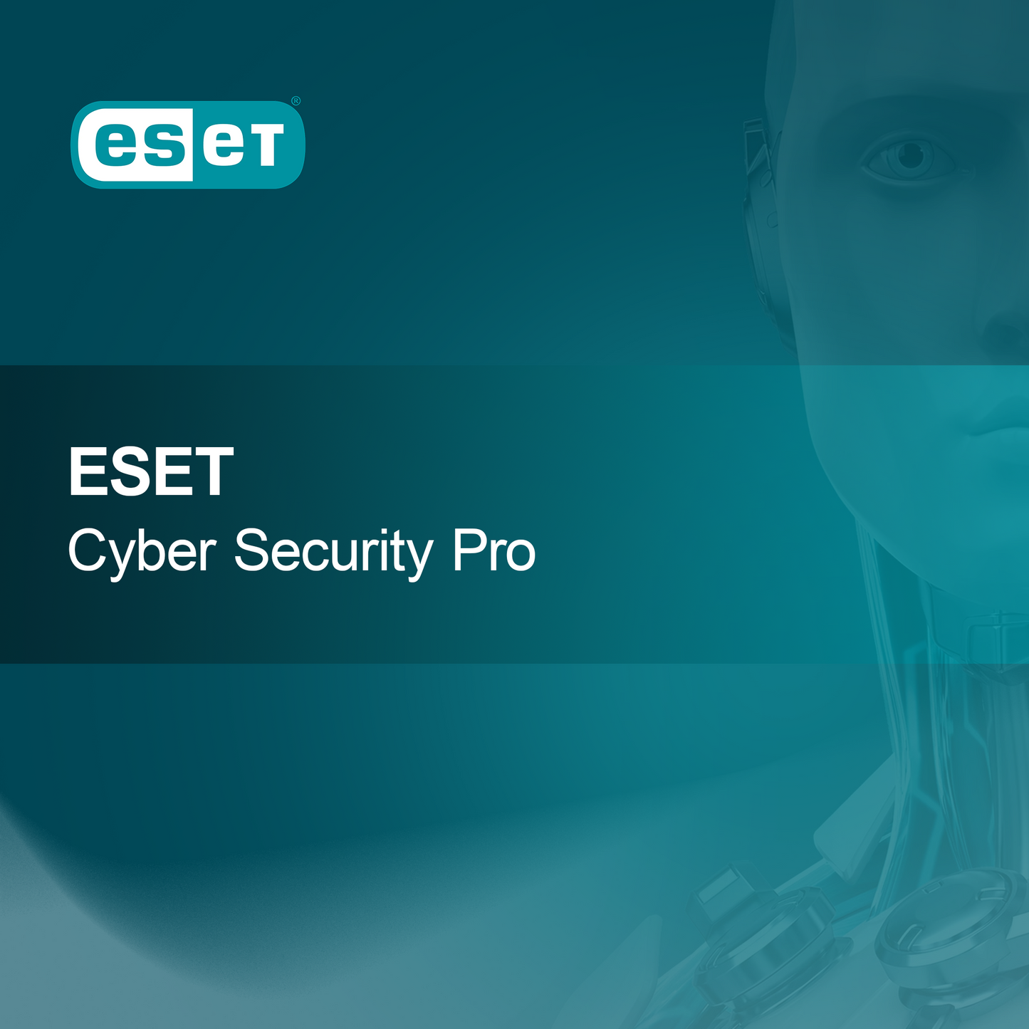 ESET Siber Güvenlik Pro