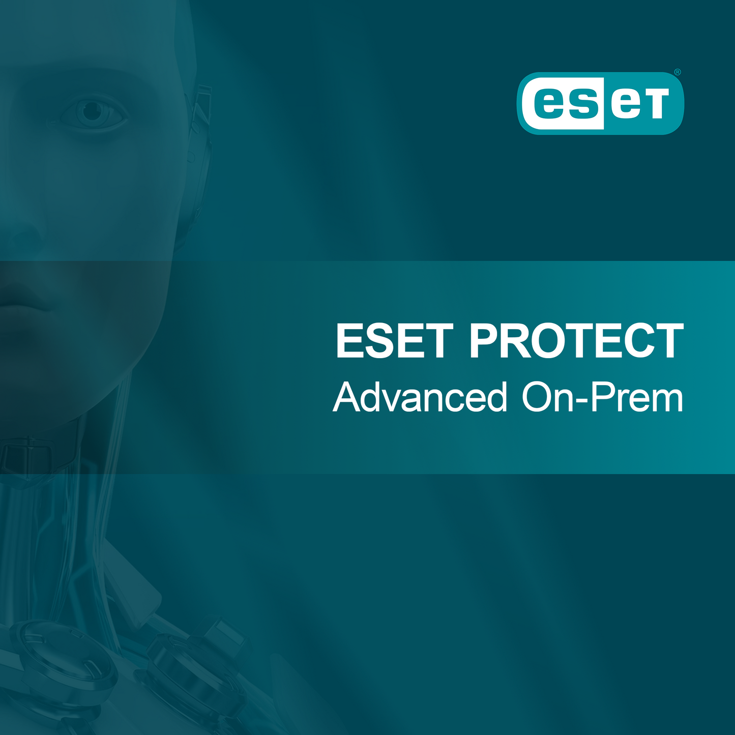 ESET PROTECT Advanced Yerinde