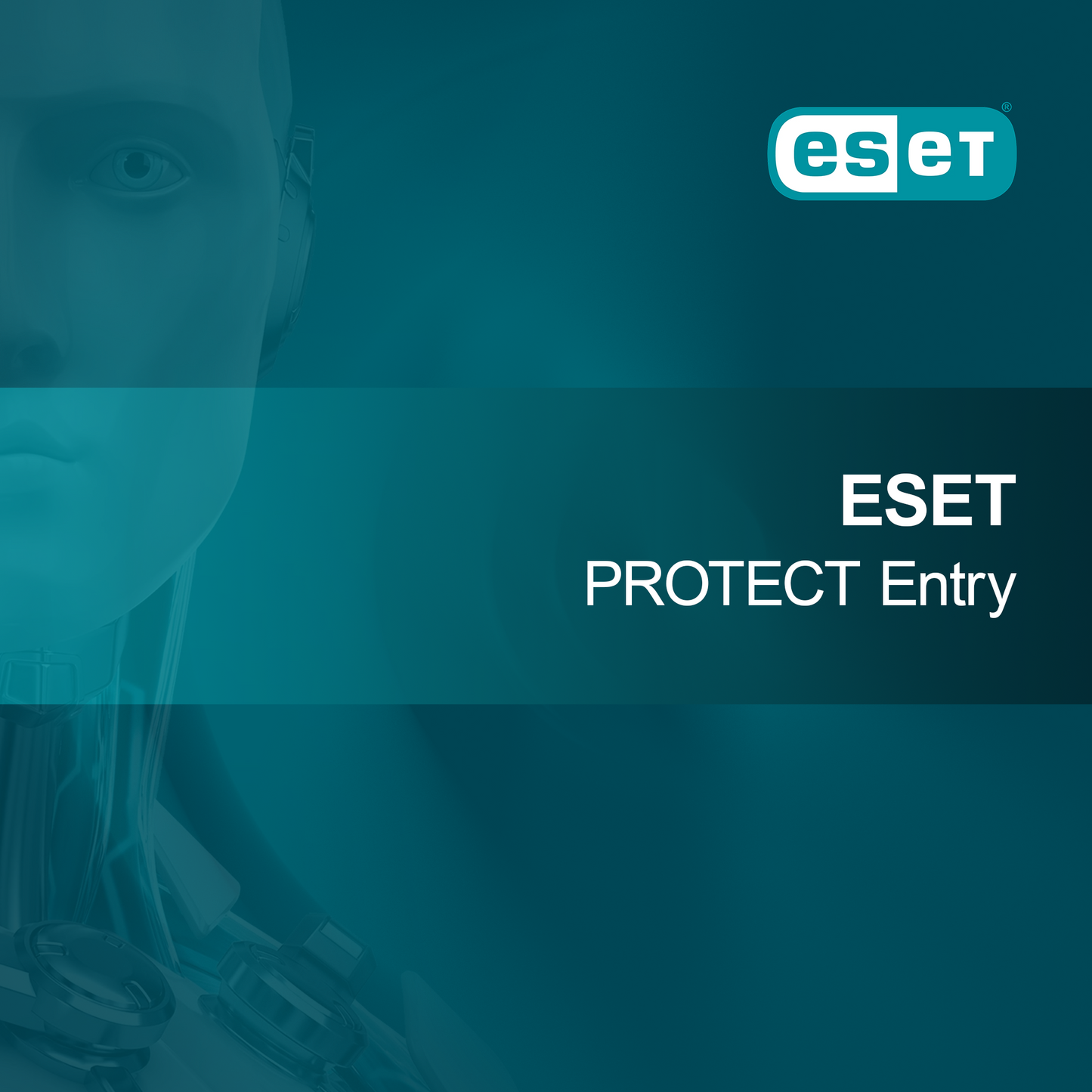ESET PROTECT Giriş