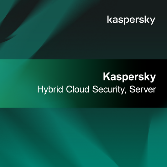 Kaspersky Hibrit Bulut Güvenliği, Sunucu