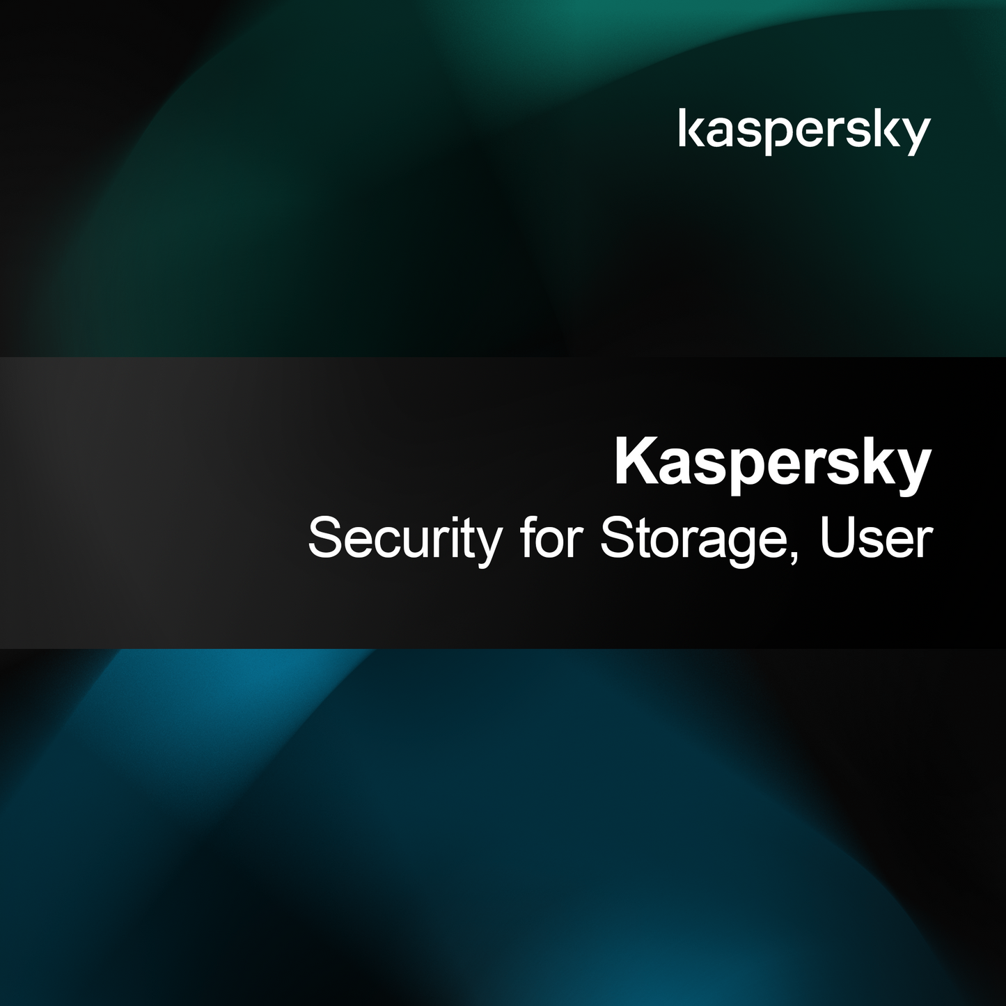 Kaspersky Depolama Güvenliği, Kullanıcı