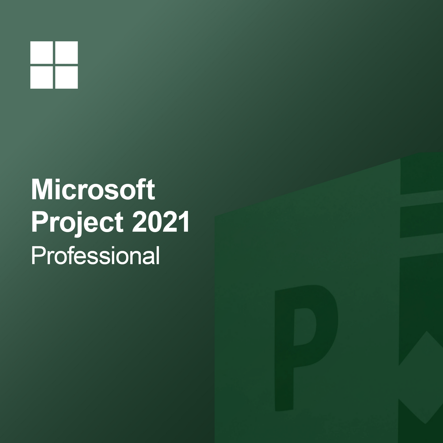 Microsoft Project 2021 Profesyonel