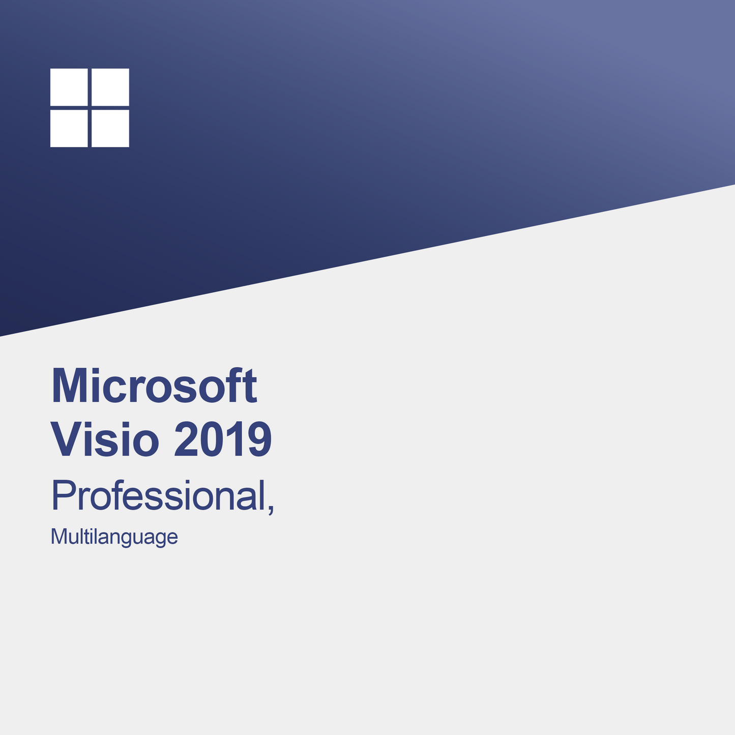 Microsoft Visio 2019 Professional, Çok Dilli