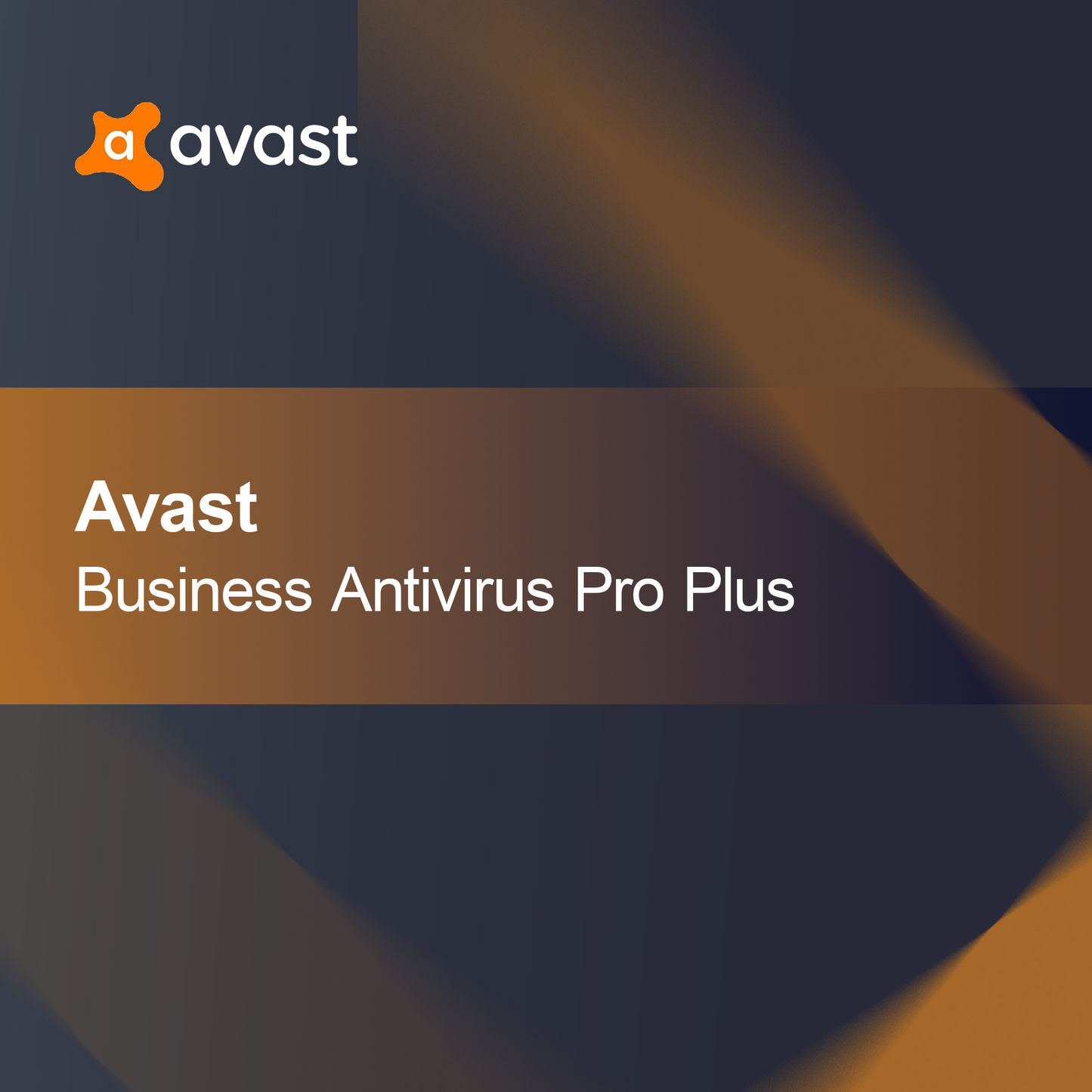 Avast Business Antivirus Pro Plus Yenileme