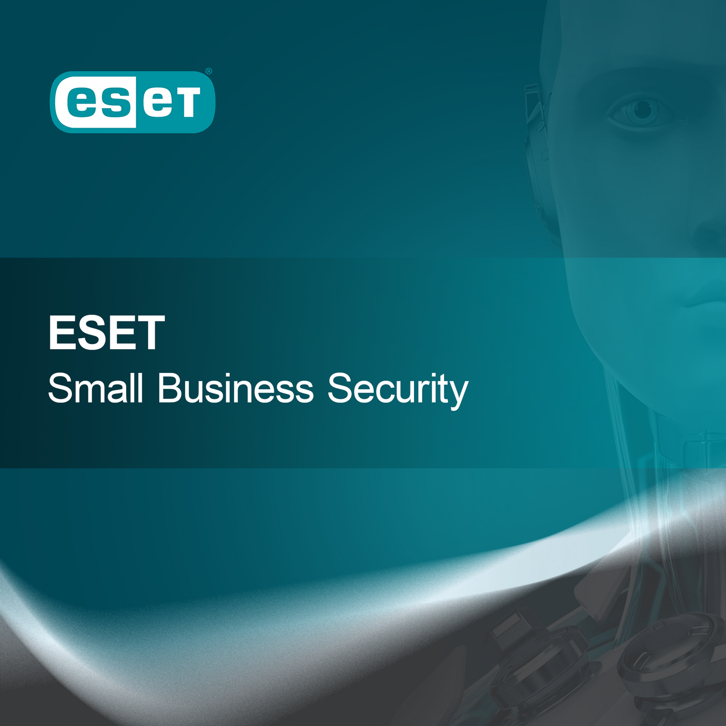 ESET Küçük İşletme Güvenliği