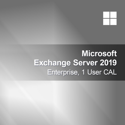 Microsoft Exchange Server 2019 Enterprise, 1 Kullanıcı CAL