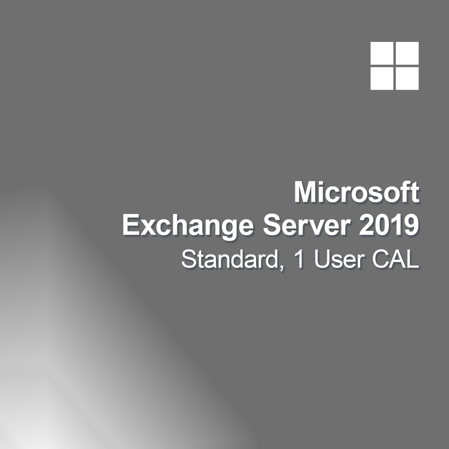 Microsoft Exchange Server 2019 Standard, 1 Kullanıcı CAL