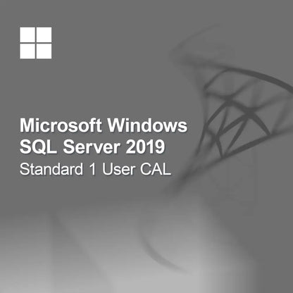 Microsoft SQL Server 2019 Standard 1 Kullanıcı CAL
