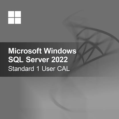 Microsoft SQL Server 2022 Standard 1 Kullanıcı CAL